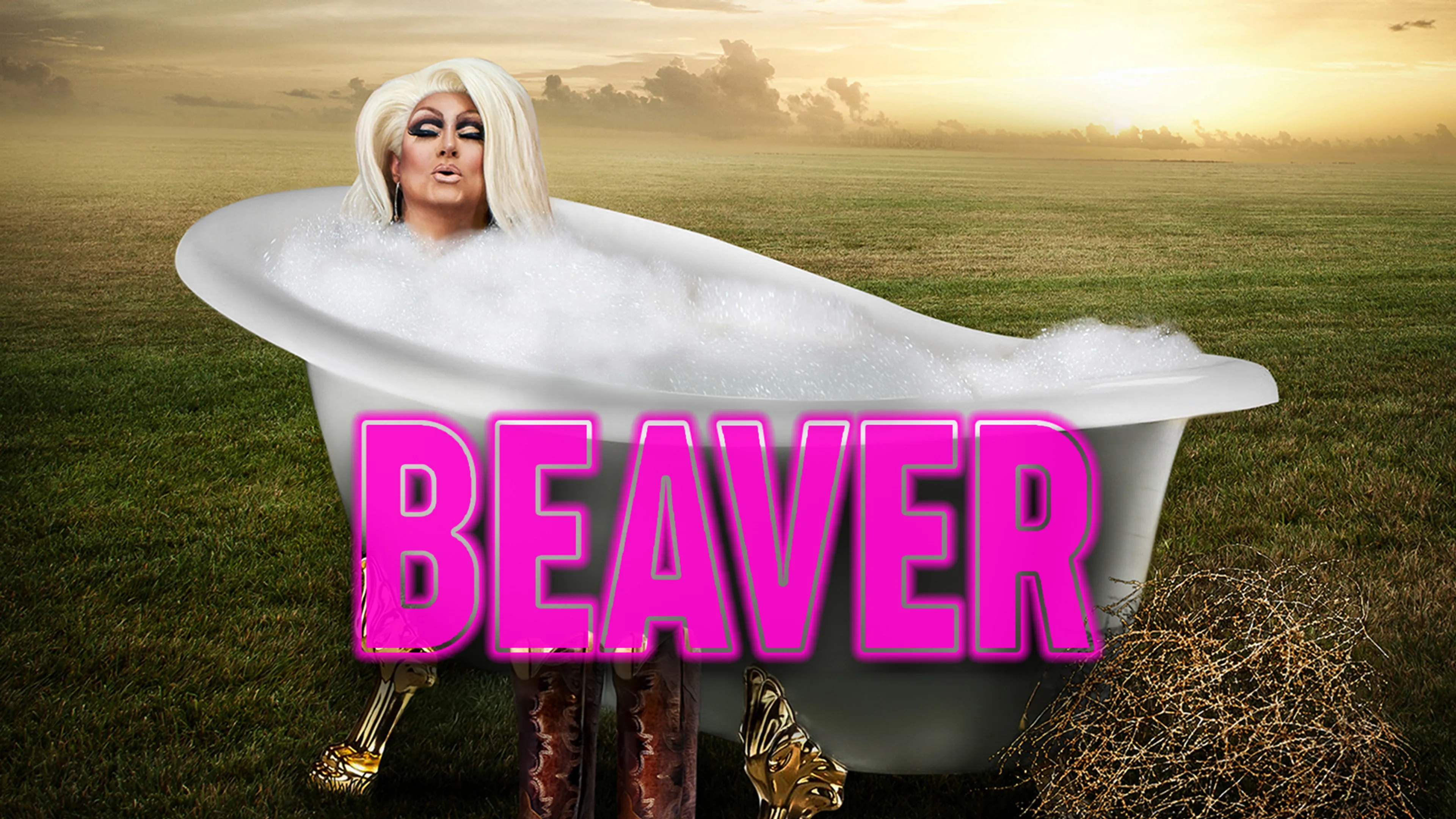 Beaver poster